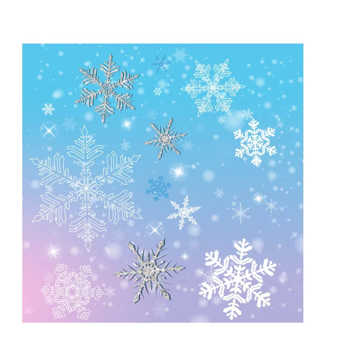 Assiette Jetable Flocons de Neige - Lot de 10